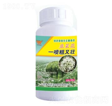 �²˻�һ�����։�-����