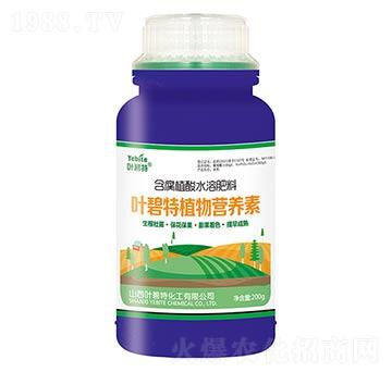 250g����ֲ��ˮ�ܷ���-ֲ��I(y��ng)�B(y��ng)��-�~����