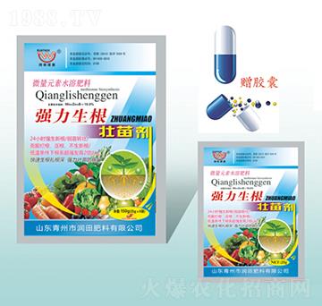 �����������焩-�����