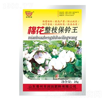 �޻���֦���?f��)?�������