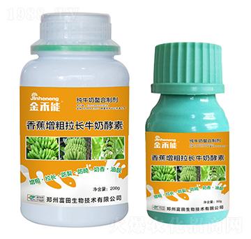 �㽶�������L(zh��ng)ţ�̽���-�����-�κ��r(n��ng)�I(y��)