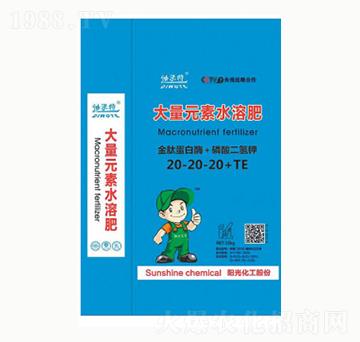 ���ĵ���ø+��������20-20-20+TE-�(y��ng)�⻯��