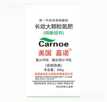 �L(zh��ng)Ч���w������-�(y��ng)�⻯��