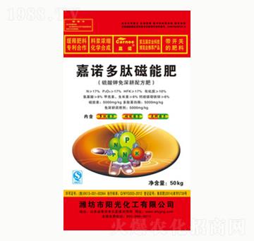 ���Z���Ĵ��ܷ�-�(y��ng)�⻯��