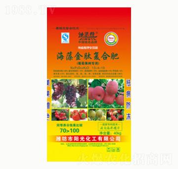 ������ď�(f��)�Ϸ�-�(y��ng)�⻯��