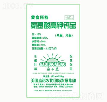 ���������}��-�(y��ng)�⻯��