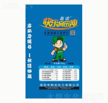 ����ֲ��ˮ�ܷ���-�(y��ng)�⻯��