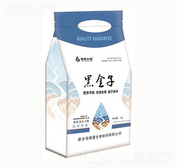 �ڽ���-�ں�����