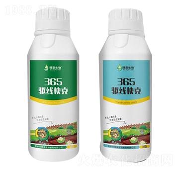 365�(q��)�����-�ں�����