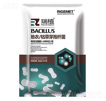 ���¿ݲ�ѿ�ߗU��-��ֲ-���w�~��