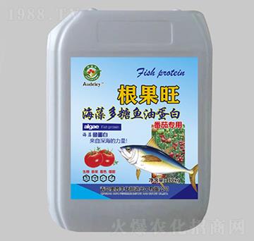 ���ь��ú�������~�͵���-������-�W���S