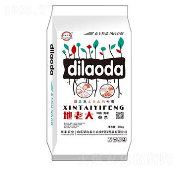 ���ϴ�-��ɽ̩�S