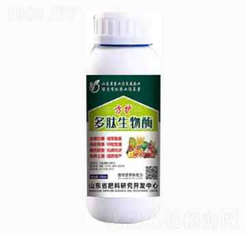 ��������ø-���o(h��)-��혻���