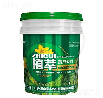 �S�ό���-ֲ��-��ɽ̩