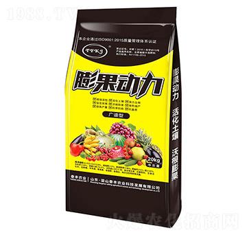 �V�V�������(d��ng)��-��ɽ̩