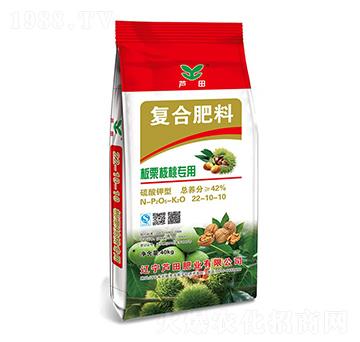 �������Ҍ��ÏͺϷ���22-10-10-�J��ʘI(y��)