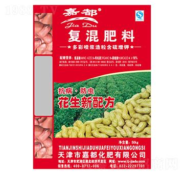 �����䷽�ʏ�(f��)�����-�ζ�