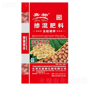 �����䷽�ʓ������-�ζ�