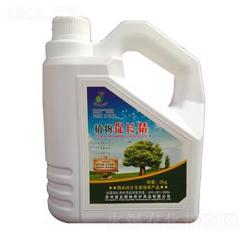 ֲ����L(zh��ng)��-���I(y��)