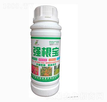 ��(qi��ng)����-���I(y��)