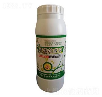 ֲ�￹��-���I(y��)