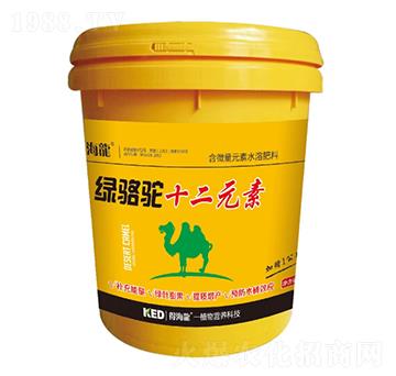 �G��ʮ��Ԫ��Ͱ��-�ú���-������