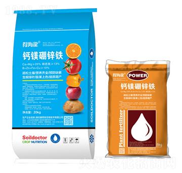 �}�V���\�F�w����-�ú���-������