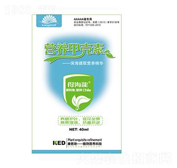 �I�B(y��ng)�ך���-�ú���-������