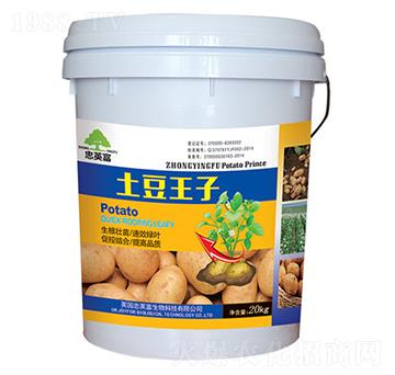 �������ӣ�Ͱ��-�|���S