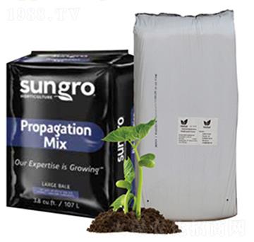 ���|(zh��)��̼-�(y��ng)���ǻ�