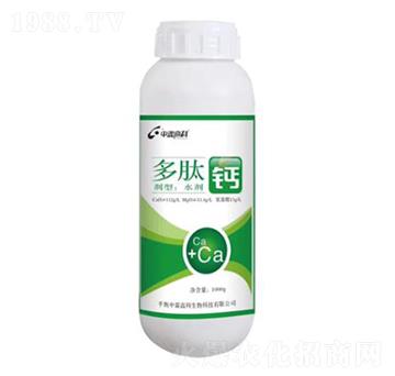 �����}-���ظ߿�