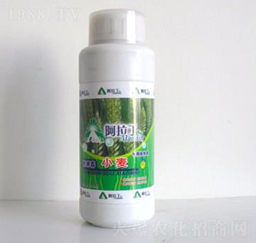 С����(zhu��n)�þ��A��-������