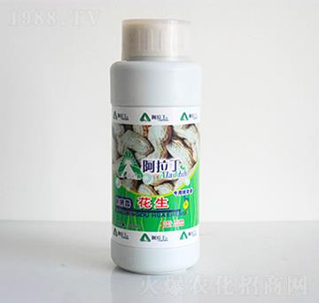 ������(zhu��n)�þ��A��-������