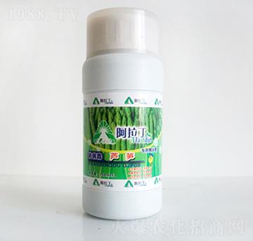 �J�S��(zhu��n)�þ��A��-������