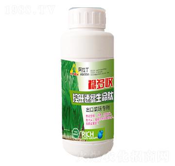 �����پG������-��(w��n)����-������