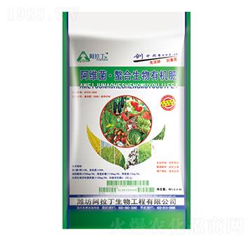 40kg���S�������������ЙC(j��)��-������