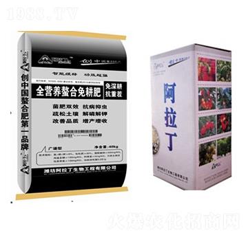 ȫ�I�B(y��ng)���������-������