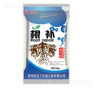 ���a(b��)-������