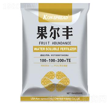 �����S100-100-300+TE-��ʩ��