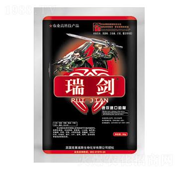 �����M������-����ʩ�ʘI(y��)