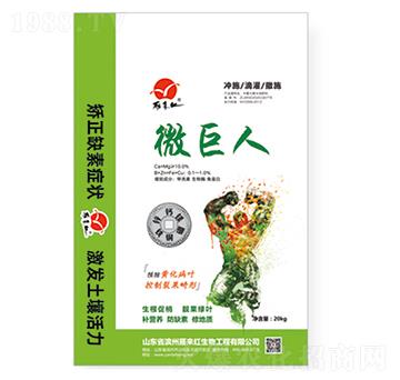 ��΢��Ԫ��-΢����-����t