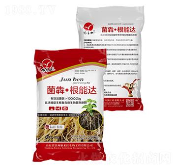 ���ġ������_(d��)-���(l��i)�t