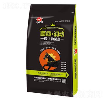 微生物菌劑-菌骉·潤動-雁來紅