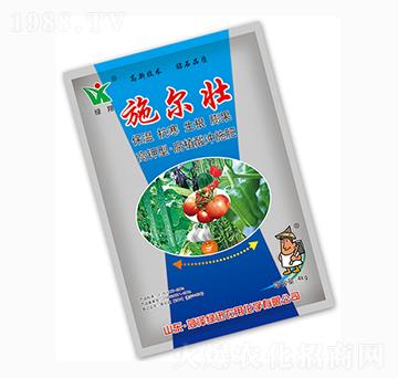 ʩ����-�GѸ