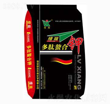 ���������-�GӍ