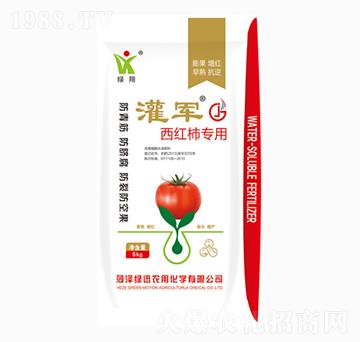 ���t����(zhu��n)��-��܊-�GӍ