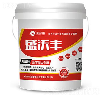 �����������Û����-ʢ���S-�ư�����