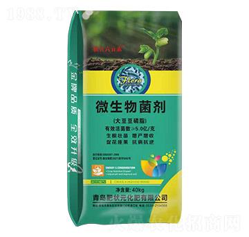 ΢����������󶹶���֬��-��Ԫ��Ԫ��-�ʠ�Ԫ