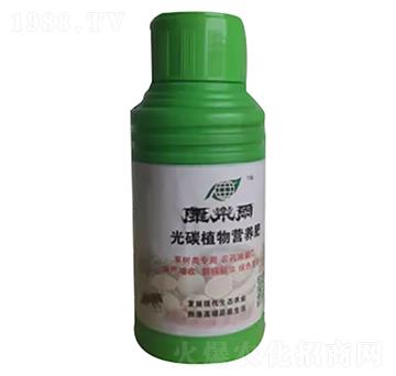 ����(sh��)�(l��i)��ֲ̼��I(y��ng)�B(y��ng)��-����(l��)��