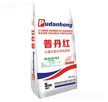 大量元素水溶性肥20-20-20+TE-普丹紅-農利